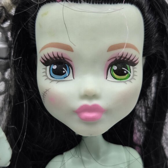 Monster High Frankie Stein Dolls 2015 2016 Mattel - Picture 3 of 8